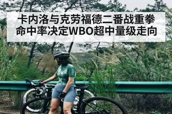 卡内洛与克劳福德二番战重拳命中率决定WBO超中量级走向
